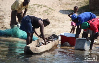 retour de la pêche en mokoro au botswana